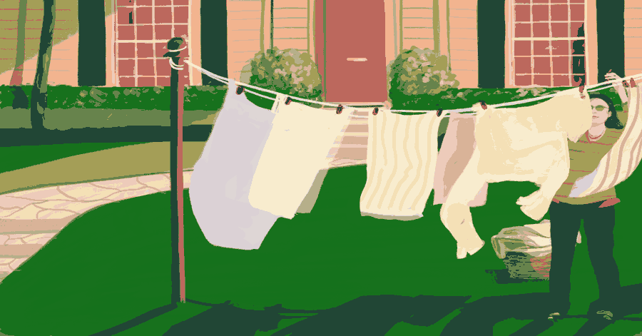 Wash Wash