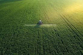 agriculture
