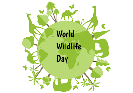 Wildlife