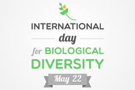 BIO
